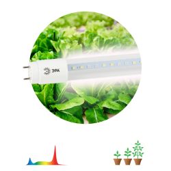 Фитолампа для растений светодиодная ЭРА FITO-18W-Ra90-Т8-G13-NL полного спектра 18 Вт Т8 G13 | Фитолампы T8