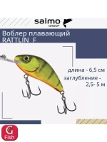 Воблер плавающий HORNET RATTLIN F 06.5/HP Раттлин (Rattlin)