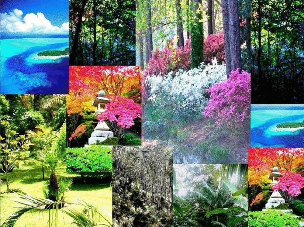 Nicolas Danila Asian Gardens