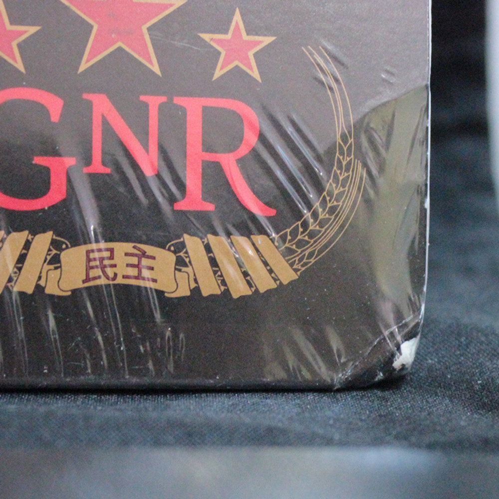 Guns N' Roses / Chinese Democracy (2LP)