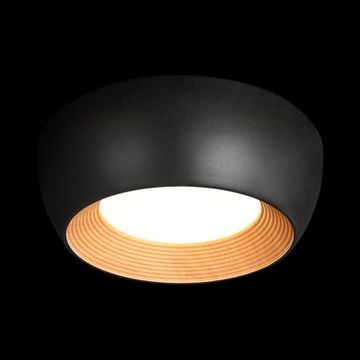 Потолочный светильник LED 24W 4000К 10255/350 Black чёрный Folk LOFT IT
