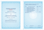 Основы проектного управления