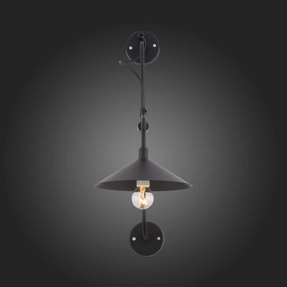Светильник настенный ST Luce Sсarno SL265.401.01