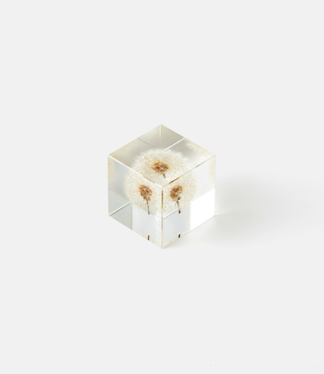 Sola Cube Dandelion Large — куб из акриловой смолы