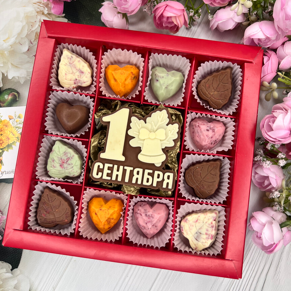 Шоколадный набор "1 сентября": шоколадка и 12 конфет ручной работы