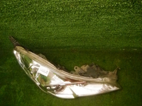 DSCN1510.JPG