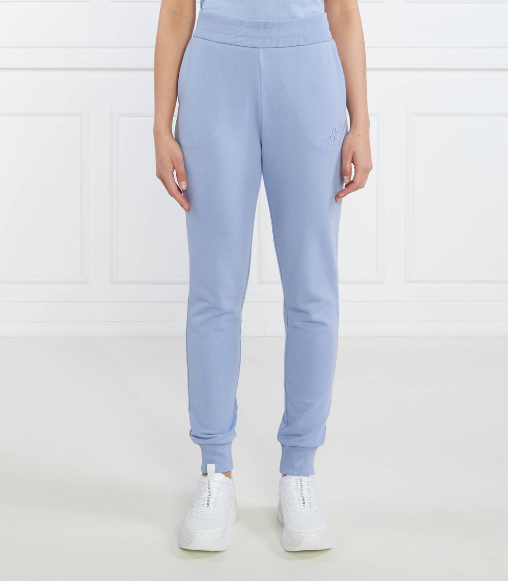 Спортивные штаны Armani Exchange - голубой(3RYP85 YJ3NZ)