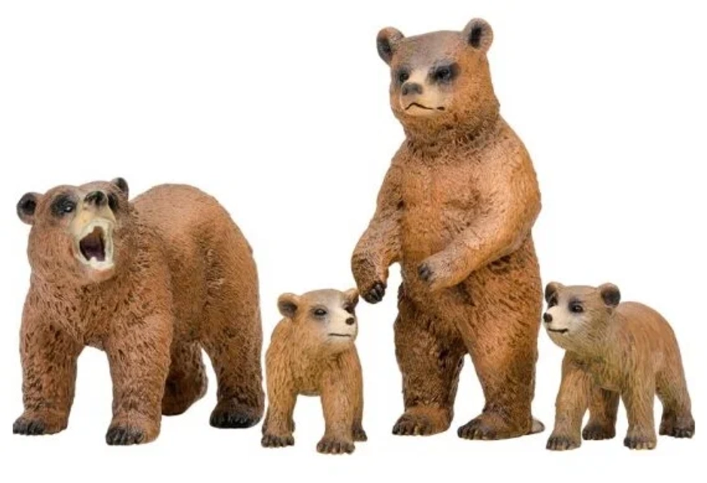 Мир диких животных Семья медведей