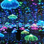 Тематический зеркальный лабиринт с LED-подсветкой, 50–300 м²