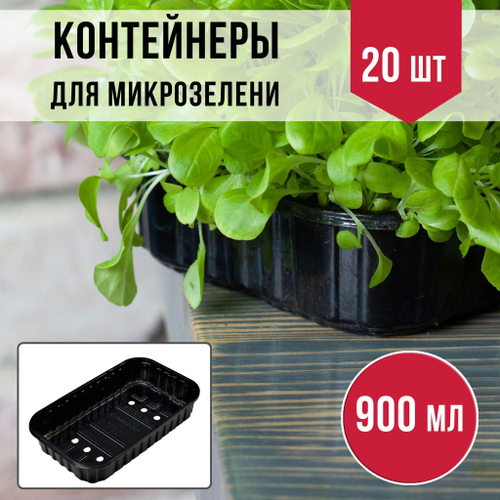 Лоток для выращивания свежей микрозелени / 18*11*5,5 см / 20 шт.
