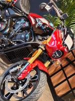 Indian Scout, 2025