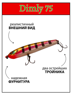 Воблер Стикбейт Rigge S Line Dimly 75 мм 8.7 г цвет #20
