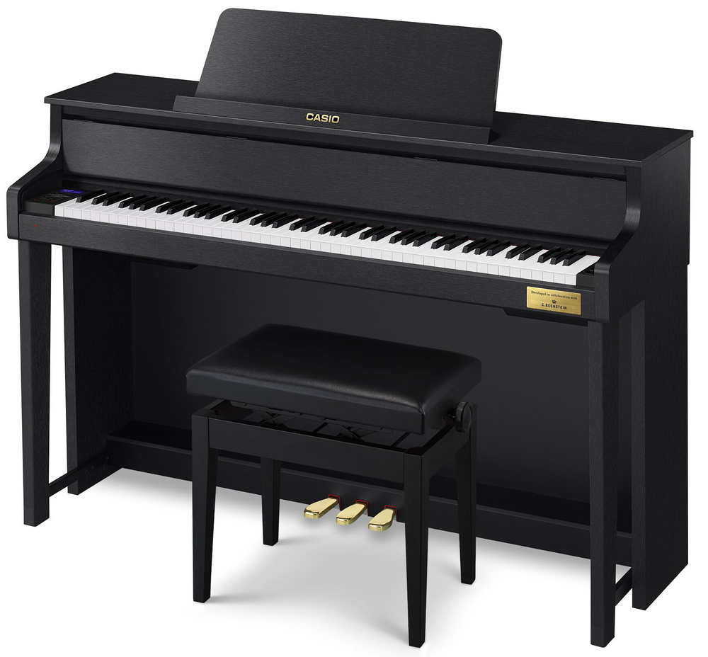 Casio GP-310
