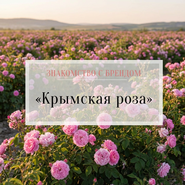 Знакомство с брендом: "Крымская роза"