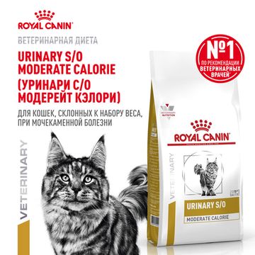 Royal Canin Urinary S/O Moderate Calorie сухой корм для кошек при МКБ и ожирении