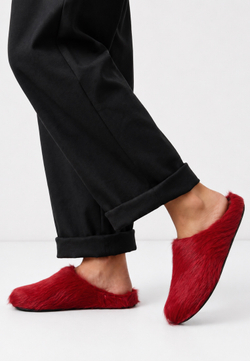 mule red fur