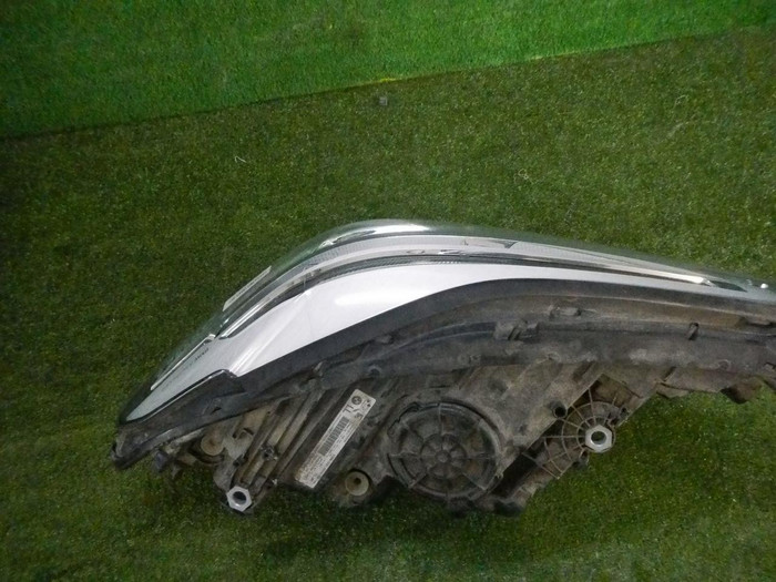 DSCN6781.jpg