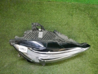 DSCN9798.jpg