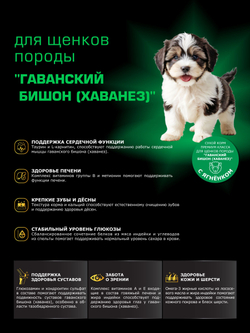 Quattro корм для щенков породы Гаванский бишон (Хаванез), с ягненком, 6 кг, QUATTRO