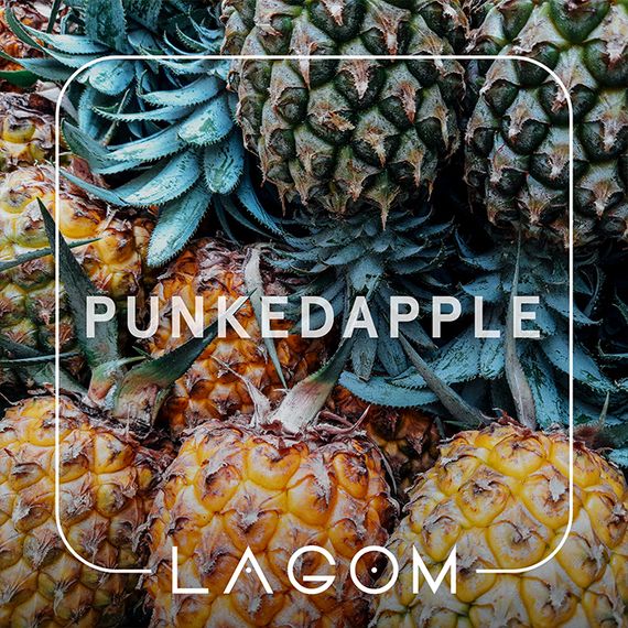LAGOM Main - Punkedapple (40г)