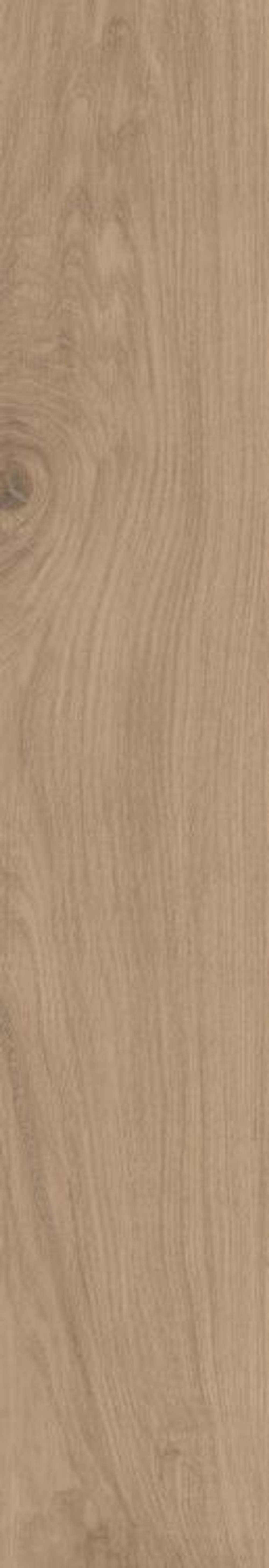 Colorker Century Honey 25x150