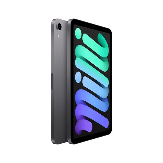Apple iPad mini 2021 Wi-Fi 64Gb Серый космос Space Gray