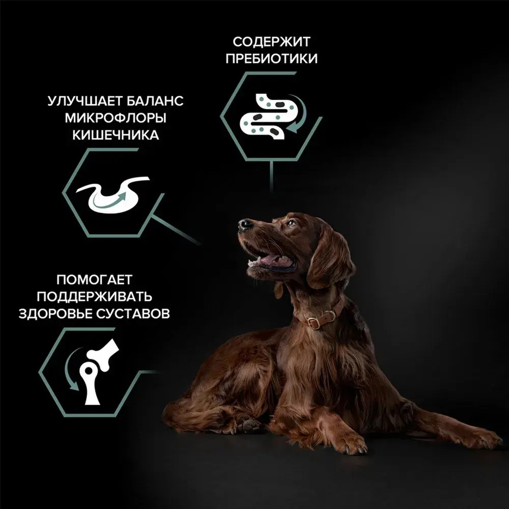 Корм сухой Ягненок, для собак крупных пород с чув пищ Атлетик ProPlan РАЗВЕСНОЙ