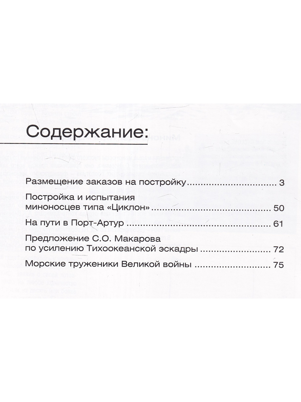№49 Миноносцы типа "Циклон"