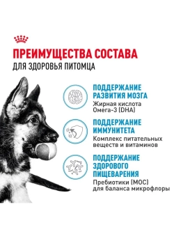MAXI Puppy Корм для щенков крупных пород 3кг