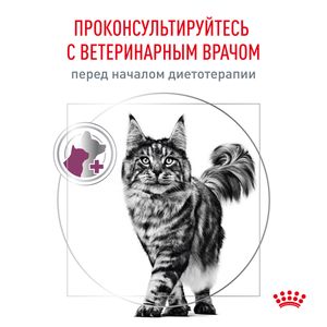 Пауч Royal Canin Renal With Chicken для взрослых кошек для поддержания функции почек, с курицей