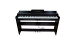 Pierre Cesar XY-8813-H