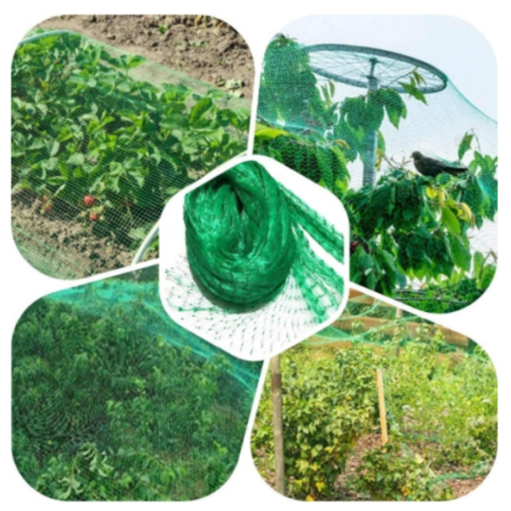 GBN10-45 GREEN APPLE Сеть садовая защита от птиц 4*5м | GREEN APPLE