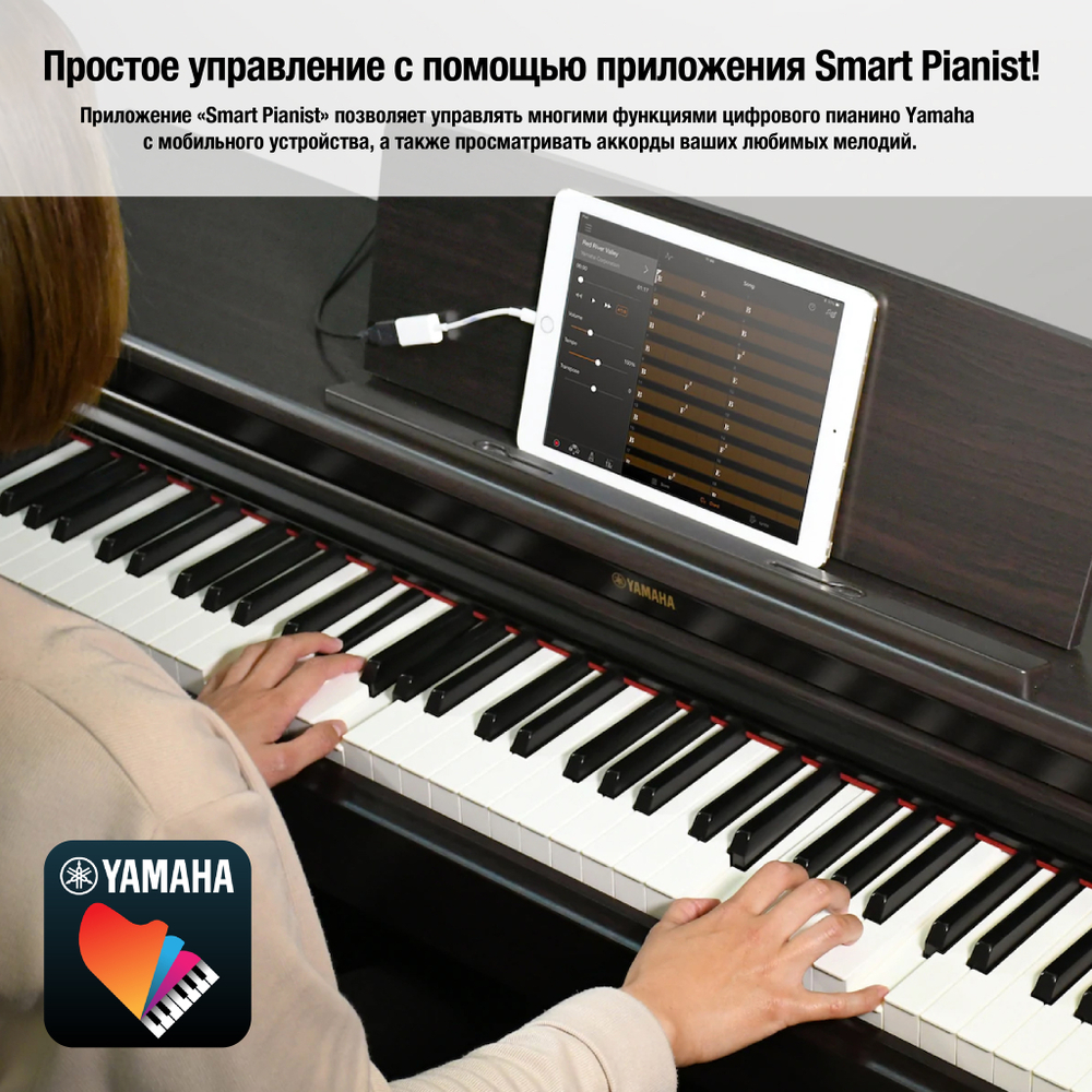 Yamaha YDP-164