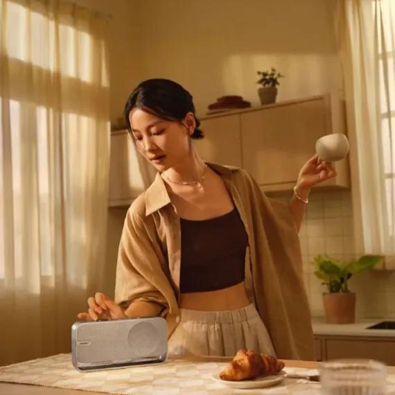 Bose SoundLink Home Light Silver