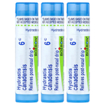 Boiron, Гранулы Hydrastis Meltaway, 3 тюбика, 80 гранул в каждом