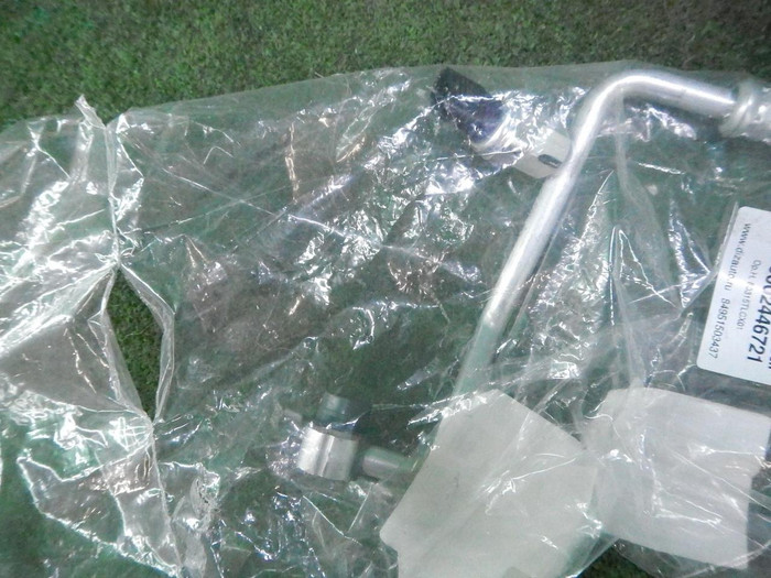 DSCN7566.JPG