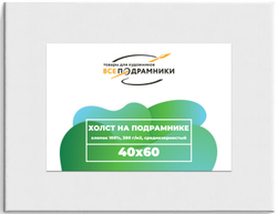 Холст 40x60 см. на подрамнике (хлопок 100%)