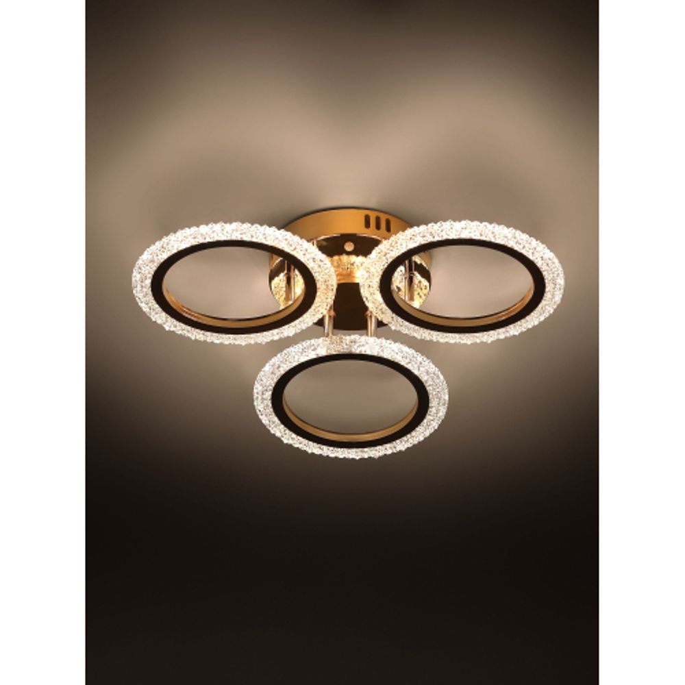 Светильник потолочный светодиодный Rivoli Evlalia 6178-703 LED 42Вт 3000-6000К с пультом | Интерьерные светодиодные светильники