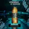 DARKSIDE XPERIENCE - Aloha Ale (30г)