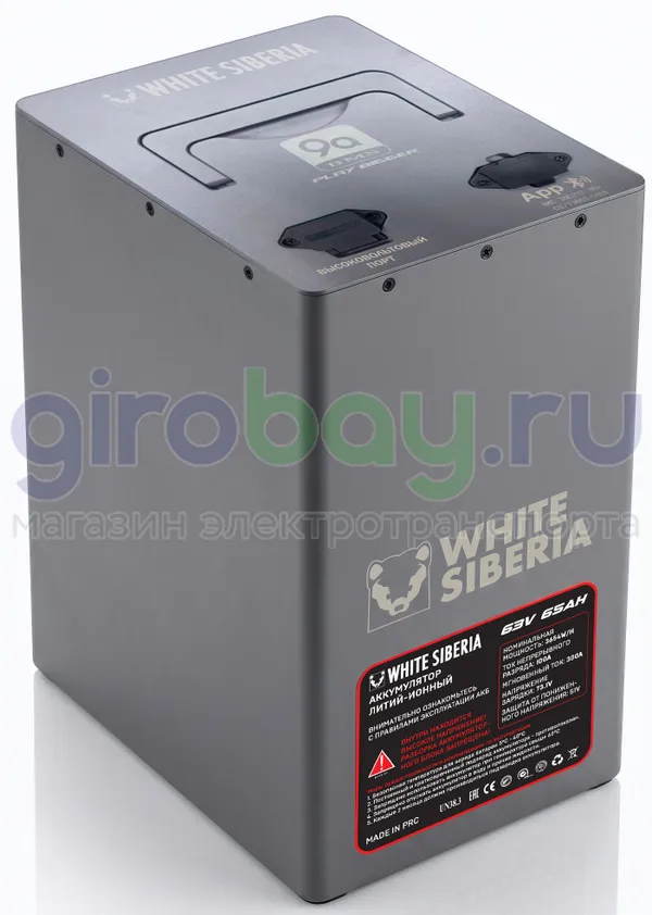 Аккумулятор (63V/65ah) для электроскутеров SIBERTON, WENBOX, MAIKAOLIN фото №3