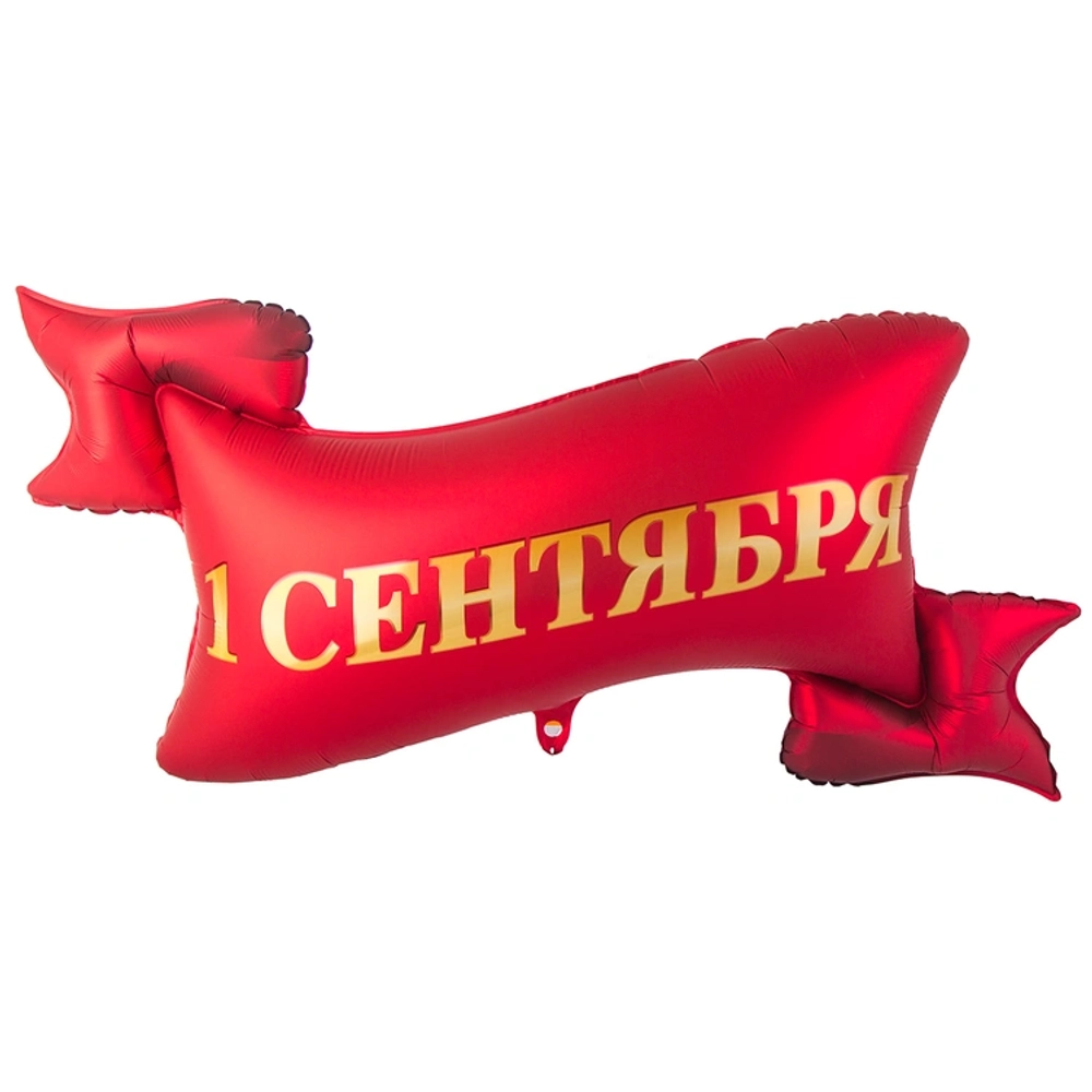 Купить фигурный фольгированный шарик с гелем на 1 сентября