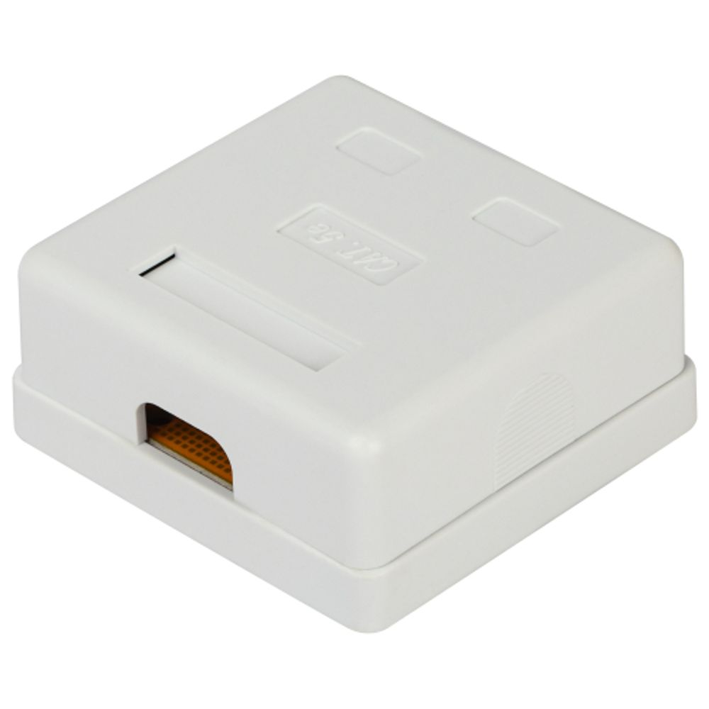 Розетка компьютерная RJ-45 ЭРА RJ02UN категория 5е неэкранированная 2-порта упаковка 30 шт | Электротовары