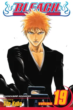 Bleach. Vol. 19 (На английском языке)