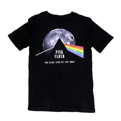 Футболка Pink Floyd The Dark Side of the Moon (267)