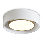 Потолочный светодиодный светильник Freya COZY FR6170CL-L52BS