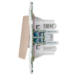 SKANDY Выключатель 2-клавишный перекрестный 10А SK-V06Sa песочный IEK