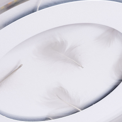 Светильник потолочный Arte Lamp Multi-Piuma A1397PL-1CL