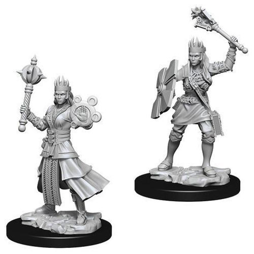 D&D Nolzur's Marvelous Miniatures - Female Human Cleric