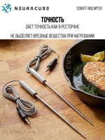 Сменный щуп BMT01 для термометра SONOFF BBQ MPS01 (2 шт.)