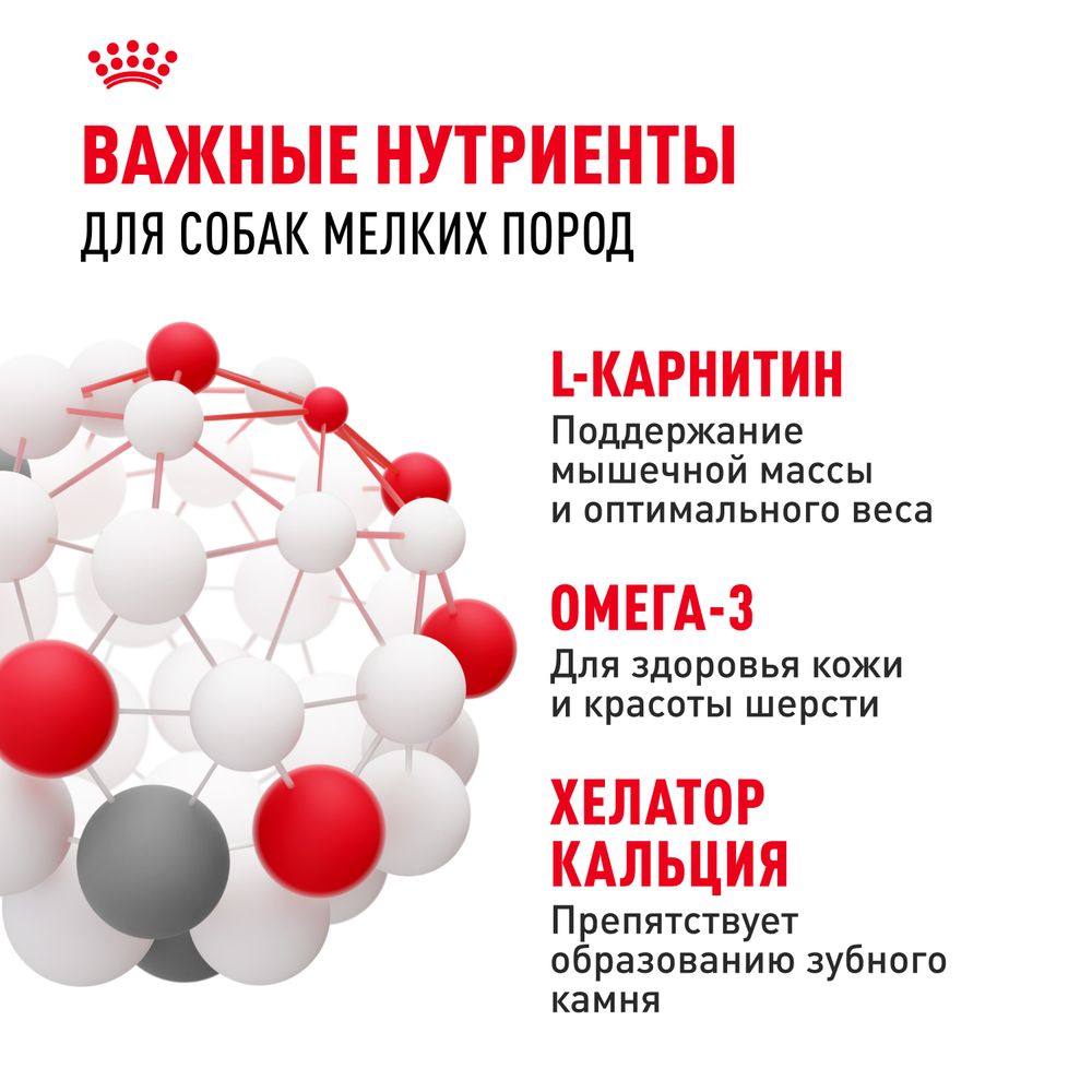 Сухой корм Royal Canin Mini Adult для взрослых собак мелких размеров от 10 месяцев